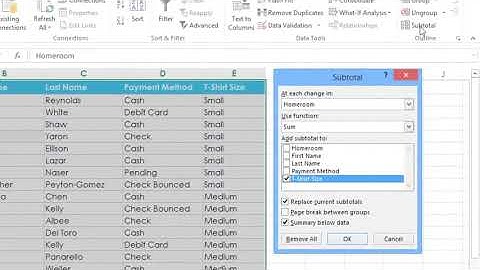 MS Excel 2013 Lessons 19 Groups and Subtotals