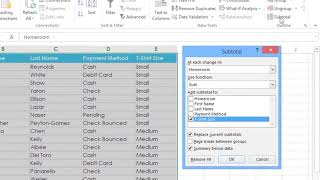 MS Excel 2013 Lessons 19 Groups and Subtotals