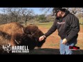 2nd Season Intro...Hunting Industry and Deaf Outdoor Community