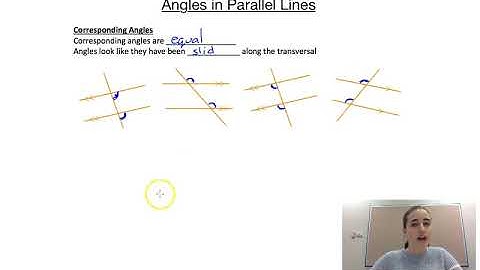 Angles in Parallel Lines