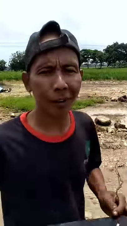 Wa kuntul