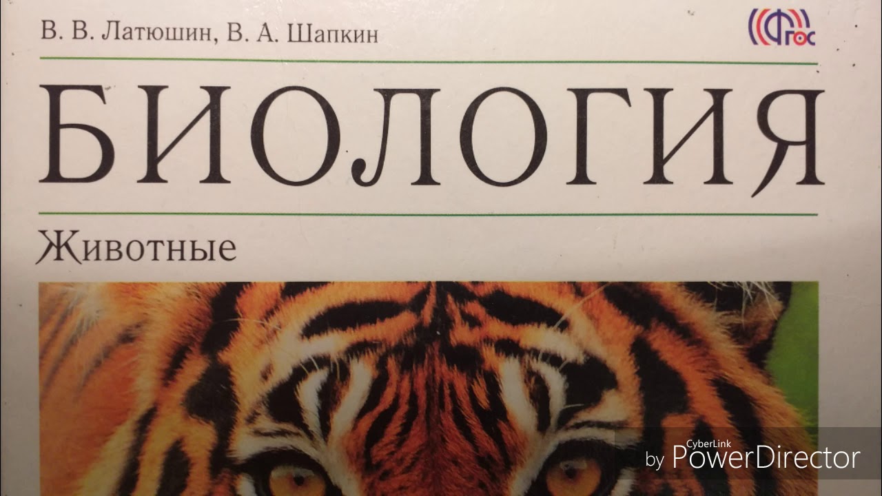 Лабораторная Работа По Биологии Строение Рыб Лабораторная Работа По Биологии Строение Рыб
