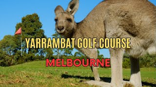 Playing every golf course in Melbourne Australia Rd 8: Yarrambat Golf Course