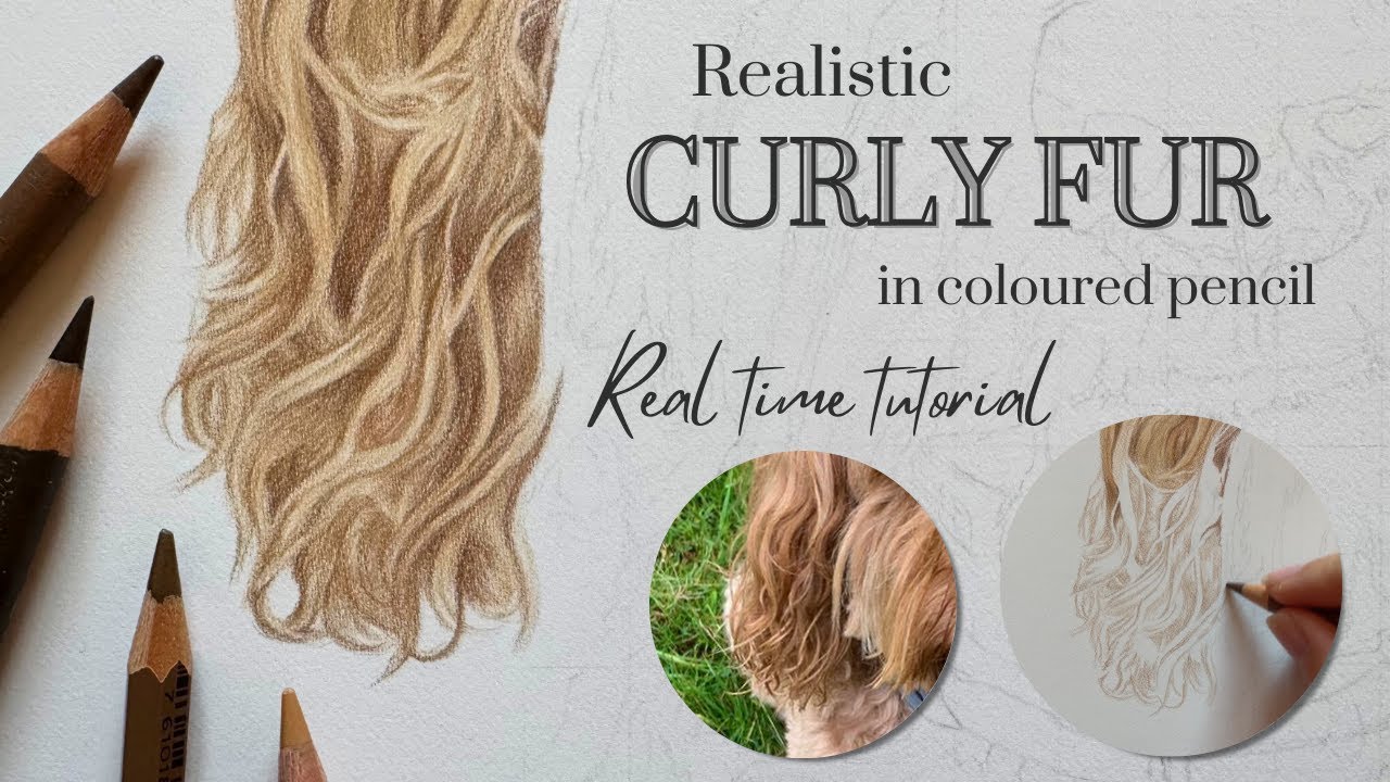 How to Draw Realistic Curly Fur in Coloured Pencil | Real Time Tutorial | Draw With Me | Ginger Fur