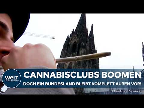 DEUTSCHLAND: Cannabisclubs boomen – doch dieses Bundesland bleibt komplett außen vor