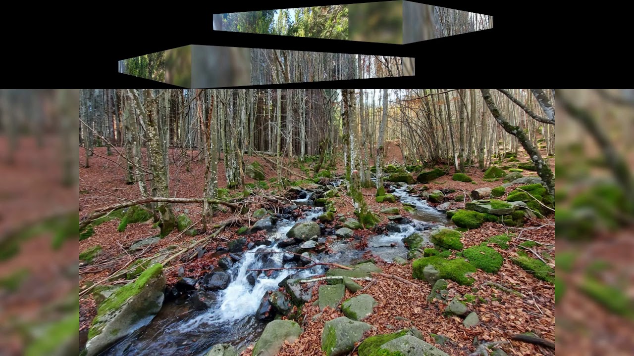 musica classica abbreviata