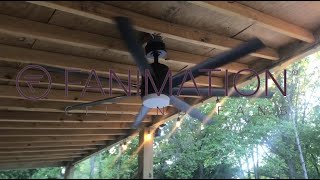 Fanimation Blitz Ceiling Fan
