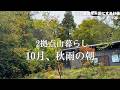 【紅葉】秋深まる山で過ごす朝のひと時