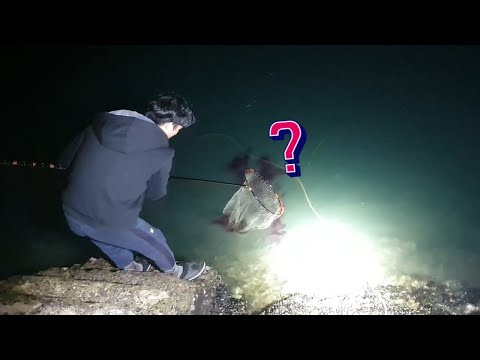 [밑밥] 성게 해루질중... 이상한 생명체를 만나다!