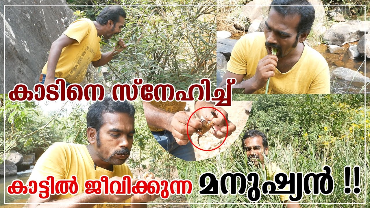 പച്ചില കഴിച്ചു ജീവിക്കുന്ന മനുഷ്യൻ സുരേഷ് മേപ്പാടി | Suresh Meppadi Viral Sotry of Jungle Life