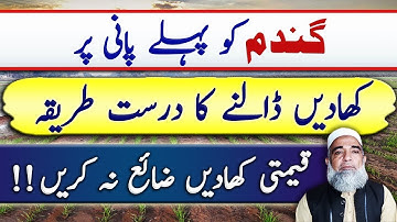 Best application method of fertilizers at first irrigation of wheat || Crop Reformer