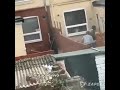 Vizinho só presta se for assim
