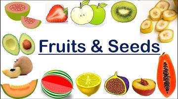 Fruits and Seeds | Seeds of fruits  | video for kids | One seed , Multiple seed and no seed fruits.