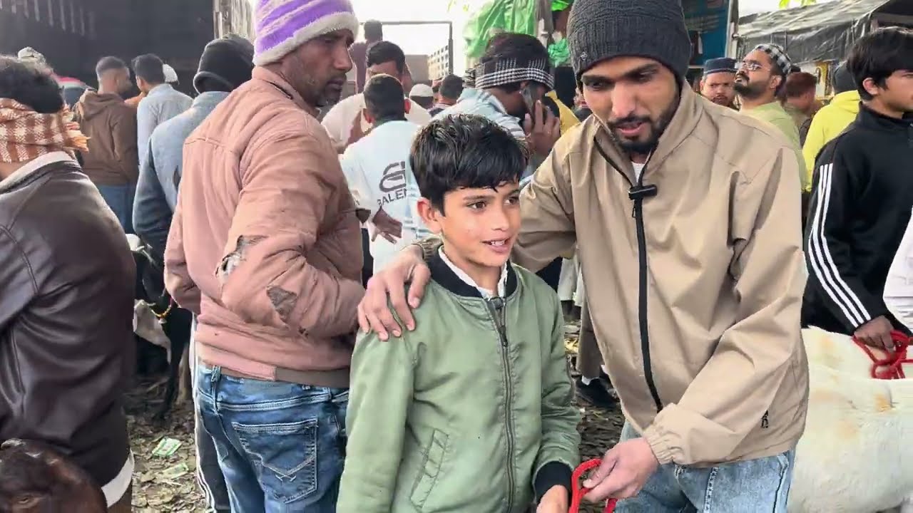 Kiratpur # bazaar # bakri # and bakro # 🐐🦙🐏🐑 ka shock # or khri dari ￼