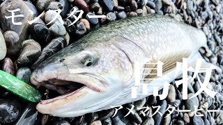 70モンスター】島牧アメマスダービー！海アメマス海サクラマス釣り