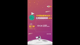 【DSE最後衝刺系列🌟課題精華 📚EP11】CH.26