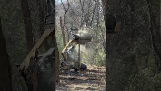 Before/After Forestry Mulching