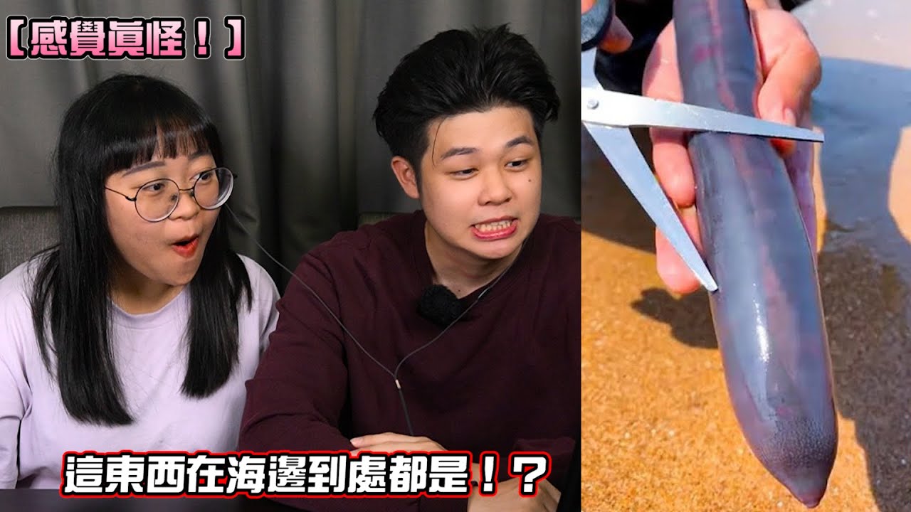 這到底是什麽生物！？沒有拍下來，你根本不敢相信的畫面