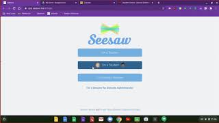 Login to Chromebook and SeeSaw from Home