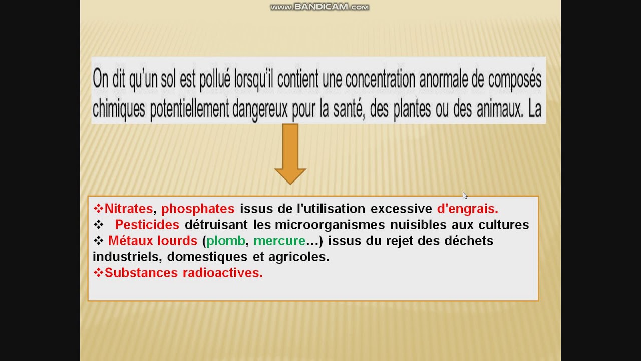 la pollution de sol et la préservation des équilibres naturels - YouTube