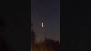 ? lakeland florida