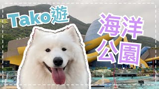 帶狗狗遊香港海洋公園🐬🦀｜汪星家族寵動員🐶｜海洋奇觀水族館🐠🐟🔹Big Dog Channel🔹西摩犬Tako ｜サモエド
