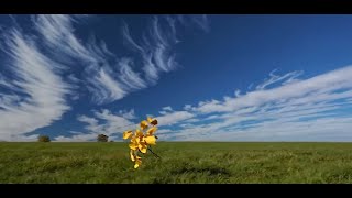 Vazgeçmem, Sevdim Seni