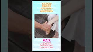【可愛いデザインたくさん】ペアアクセサリーランキング #shorts #ランキング