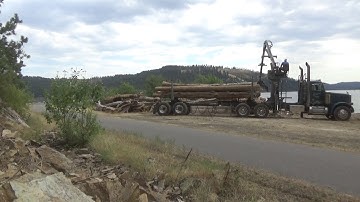 Selfloader saves the fish pt 1