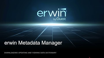 Metadata manager-Versioning and Data Dictionary v11