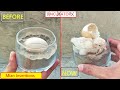 World's Easiest Idea to hatch An Egg without EGG INCUBATOR | Chicken egg hatching I SUNLIGHT