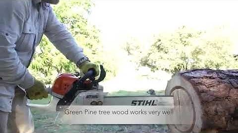 The Art of Log Hive Making