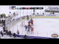 2014 NHL Winter Classic Highlights - Maple Leafs @ Red Wings 01/01/14