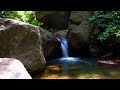 Peaceful Forest River And Waterfall 🍂 Gentle Stream For Calm And Relaxation