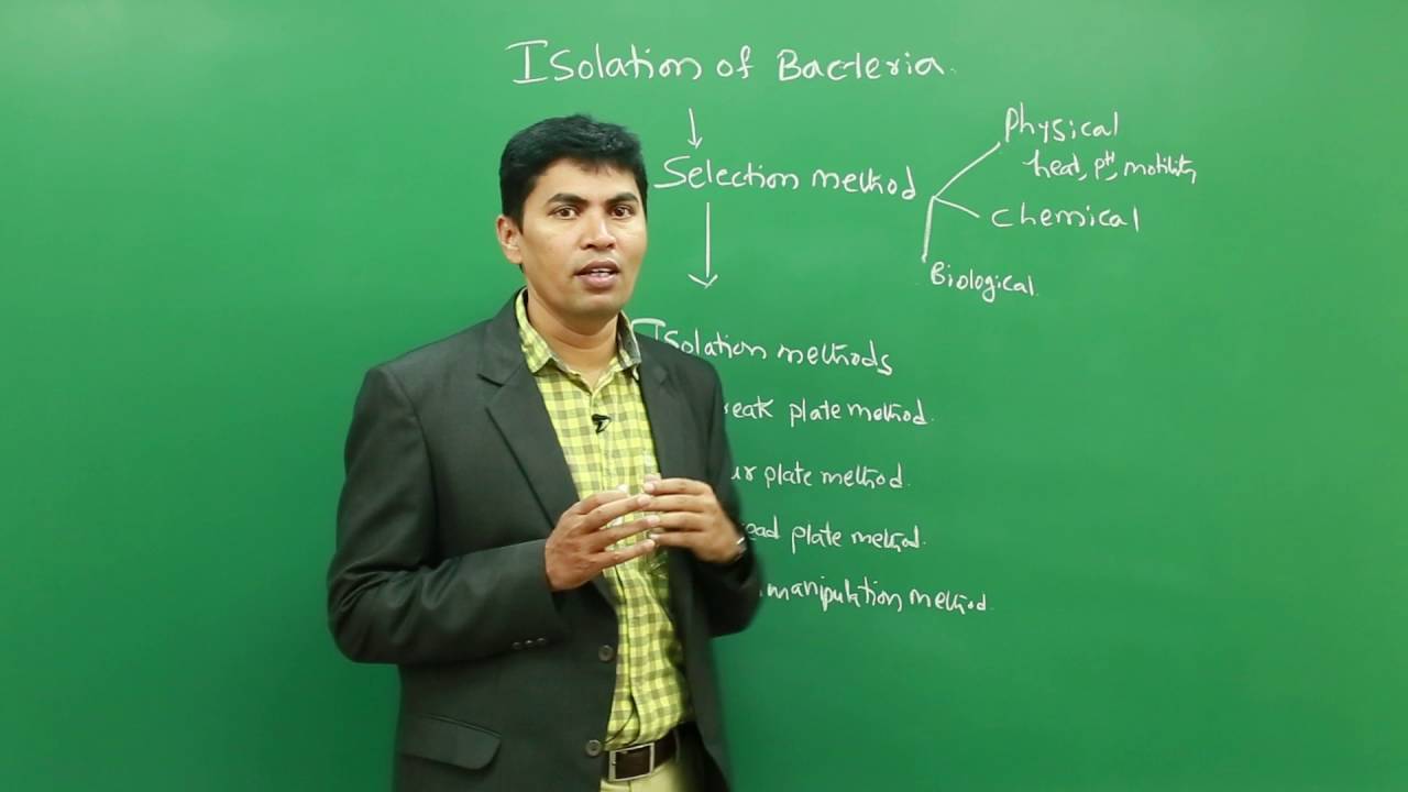 Isolation of Bacteria