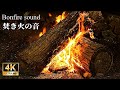 焚き火の心地よい音で30分のリラックス【睡眠用・癒し・自然音・作業用】焚き火の音で睡眠導入 - 4K 焚き火動画 - ASMR