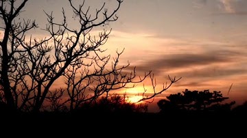 آيات بينات من سورة النجم