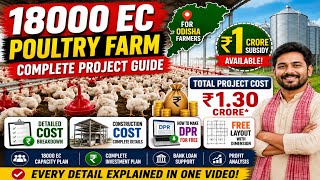 18000 EC Poultry Farm Project 2026 | ₹1 Crore Subsidy | Full Cost, DPR, Layout & Bank Loan Guide