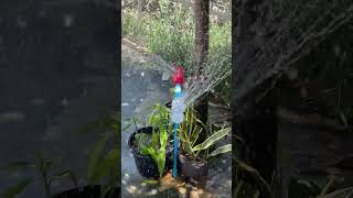 Amazing Idea to made water sprinkler system #shorts #diy #home #Hidi #Tamil #Telugu #Tech #Desi