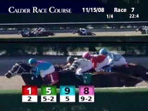 CALDER RACE COURSE, 2008-11-15, Race 7
