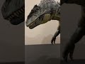 Giga is hanging on barely ￼#hanmondcollection #dinofigures #funny