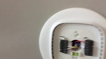 Ecobee shuts down randomly