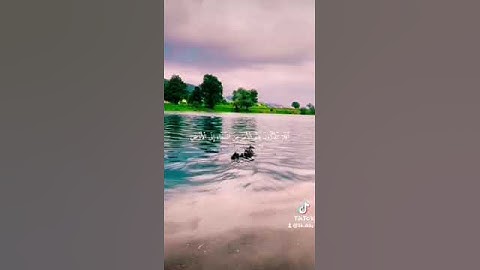 #القرآن_الكريم #تلاوات #تلاوة #قرآن #قران_كريم #اكسبلور #ترند #تيك_توك #سناب #سفر #قصص