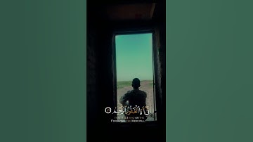 اللهم رحمتك بنا يا ارحم الراحمين 💙🥺 #تلاوة_خاشعة #آيات #ايات_قرانيه_قصيره #تريح_النفس #تلاوة