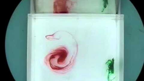 Experiment 0: Rotating Fluids 2