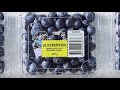 Introducing perfection blueberries  perfection fresh australia