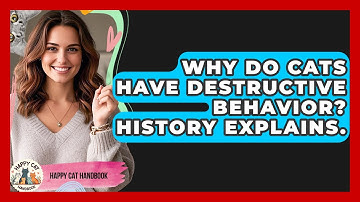 Why Do Cats Have Destructive Behavior? History Explains. - Happy Cat Handbook