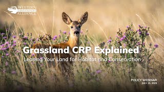 Navigating Grassland CRP: Insights from Experts and Landowners - webinar