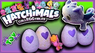 OMG A Limited Edition Colleggtible! Hatchimals | Bins Toy Bin