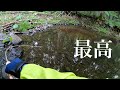 どんより曇りでいまいちテンションが上がらないと思った矢先… 【北海道 渓流ルアーフィッシング】 Hokkaido. Small Stream Lure Fishing.